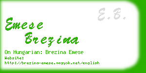 emese brezina business card